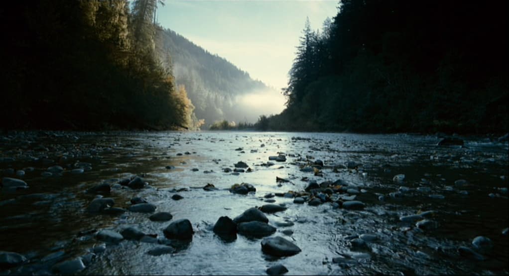 Silhouette sfocata - immagine rappresentativa